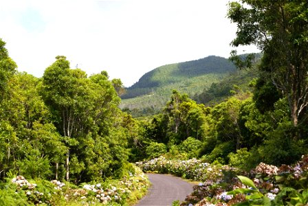 Contrafortes da Serra de Santa Bárbara, ilha Terceira, Açores, Portugal
