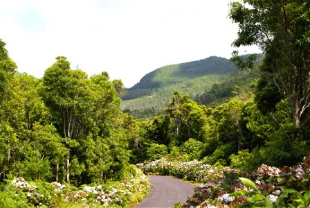 Contrafortes da Serra de Santa Bárbara, ilha Terceira, Açores, Portugal photo