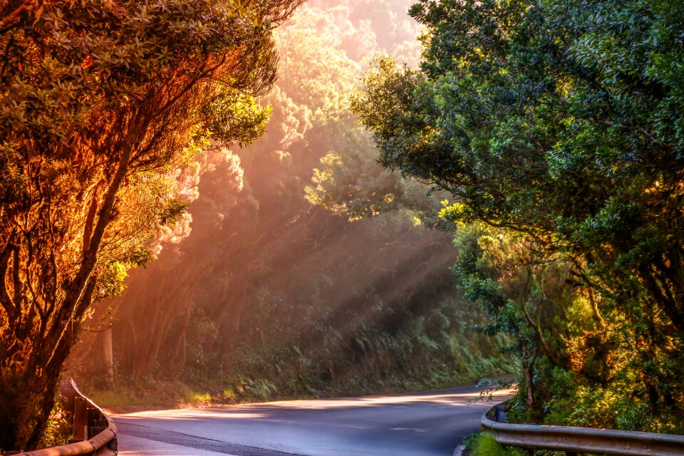 Sunbeam evening sun evening light