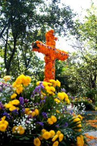 Cruz en día de Muertos