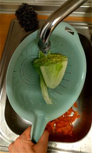 A pedagogical image related to the "Procedure (detailed)" "Method" steps in Wikibooks Cookbook:Salmon with Rice and Sauce (Q86594655) Step 18: rinsing Romaine lettuce, using "strainer" and by cold run photo