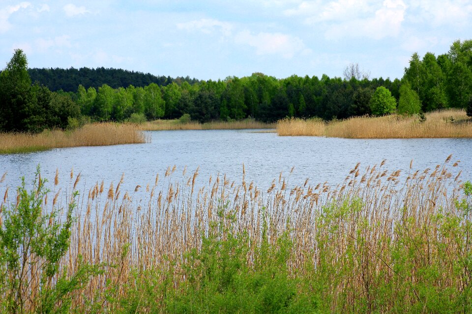 Landscape nature pond-water