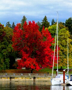 Vancouver british columbia boathouse