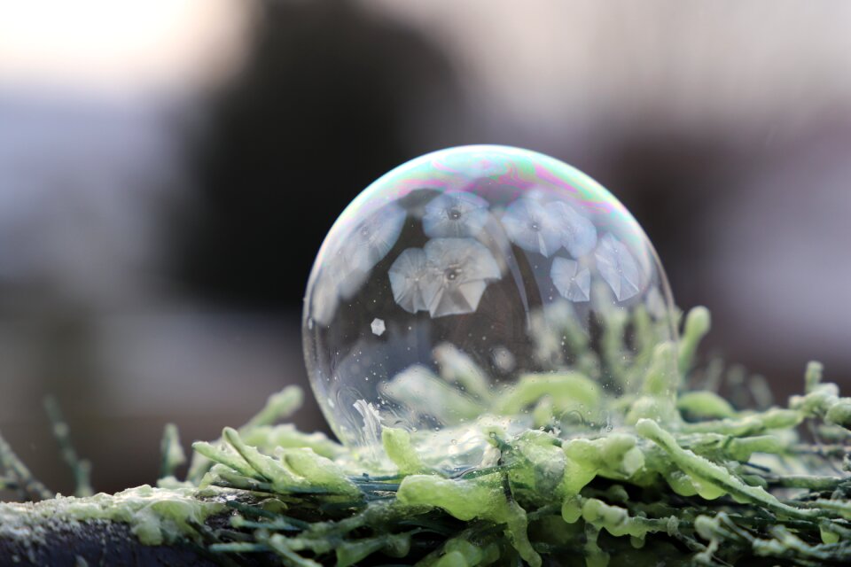Bubbles in freezing temperatures detail water
