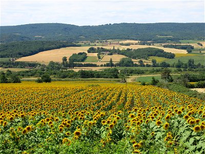 Looking to west from la Garenne (Tournus, Saône-et-Loire, France) photo