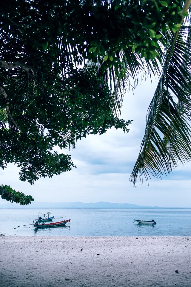 Boats calm cloudy photo