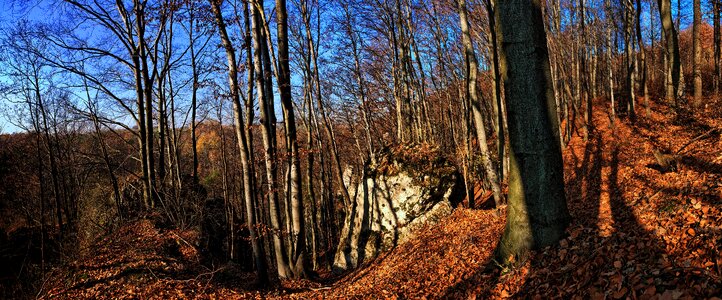Autumn rocks landscape nature