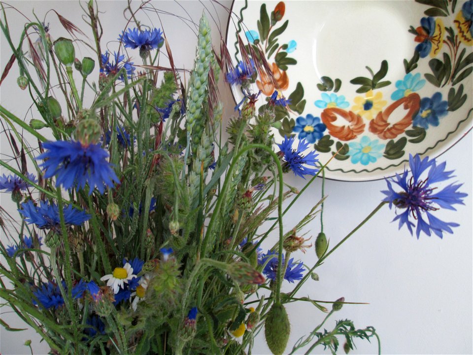 Kornblumenstrauß als Dekoration