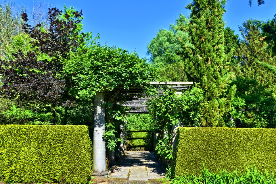 Column colonnade trees