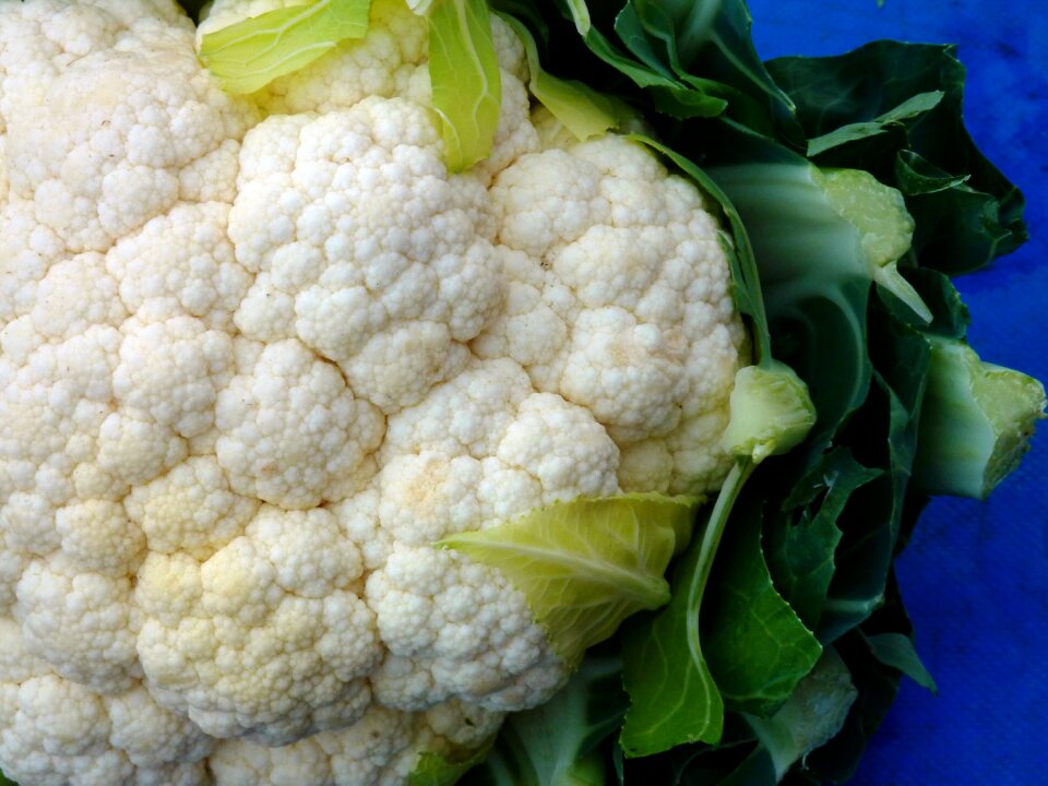 Nutrition healthy food