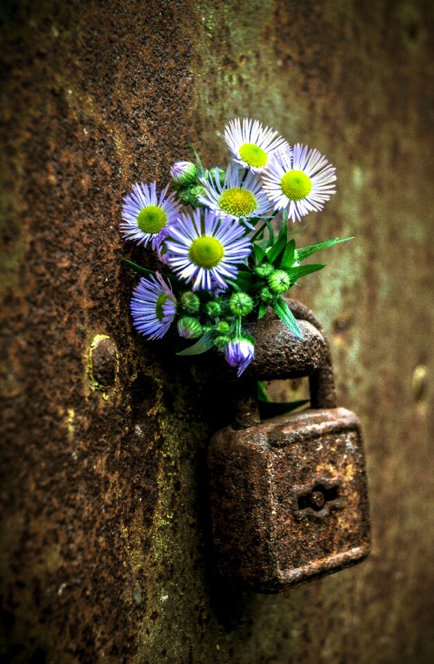 Old metal door