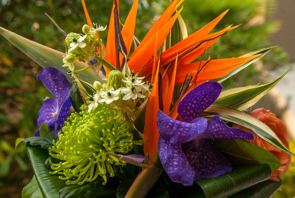 Flowers bouquet orchid