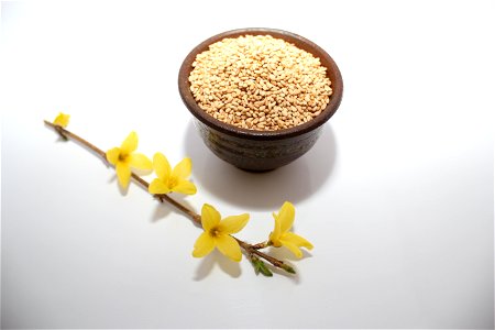 Toasted sesame seeds photo