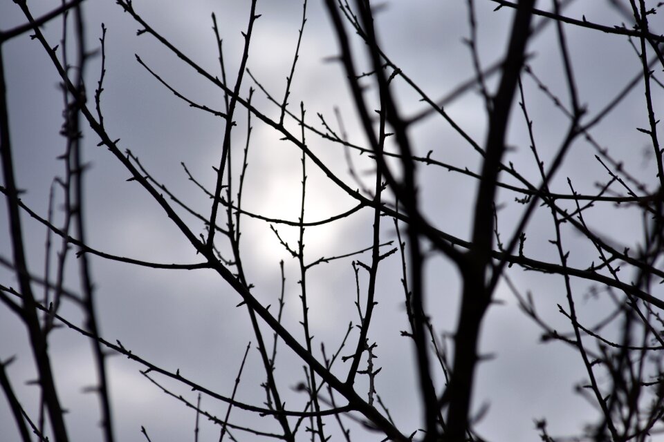Nature winter aesthetic