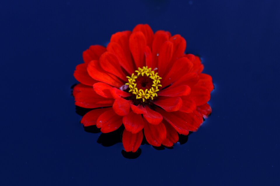 Red water waterline