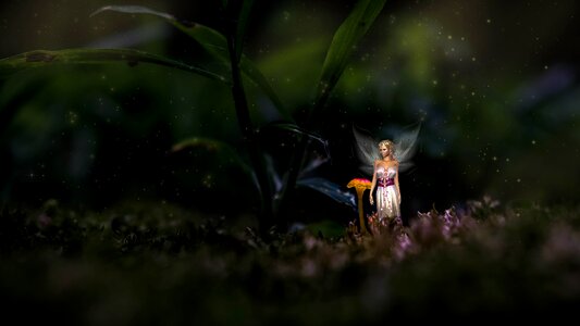 Moss silent fairytale