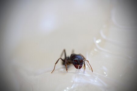 Macro plastic pinsars