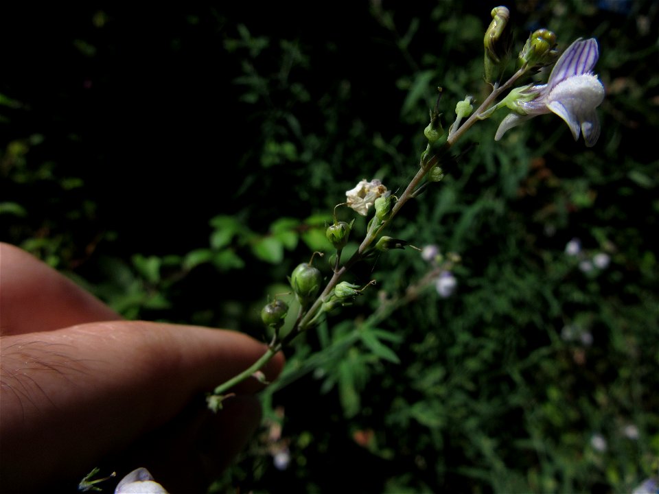 Plant in Milizac, FRANCE