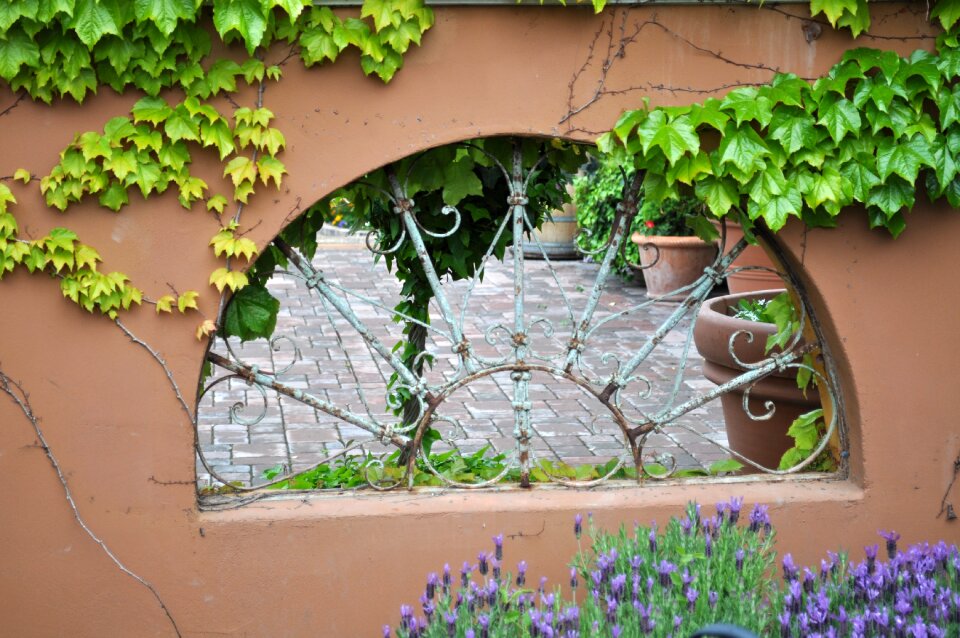 Courtyard patio winery