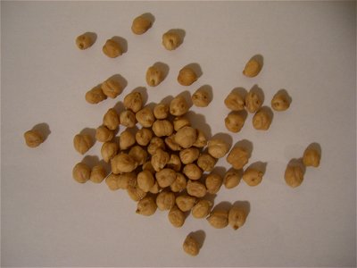 Dry Chickpea (Hummus). photo