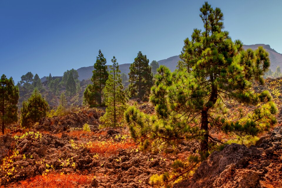 Volcanic landscape volcanic rock sky