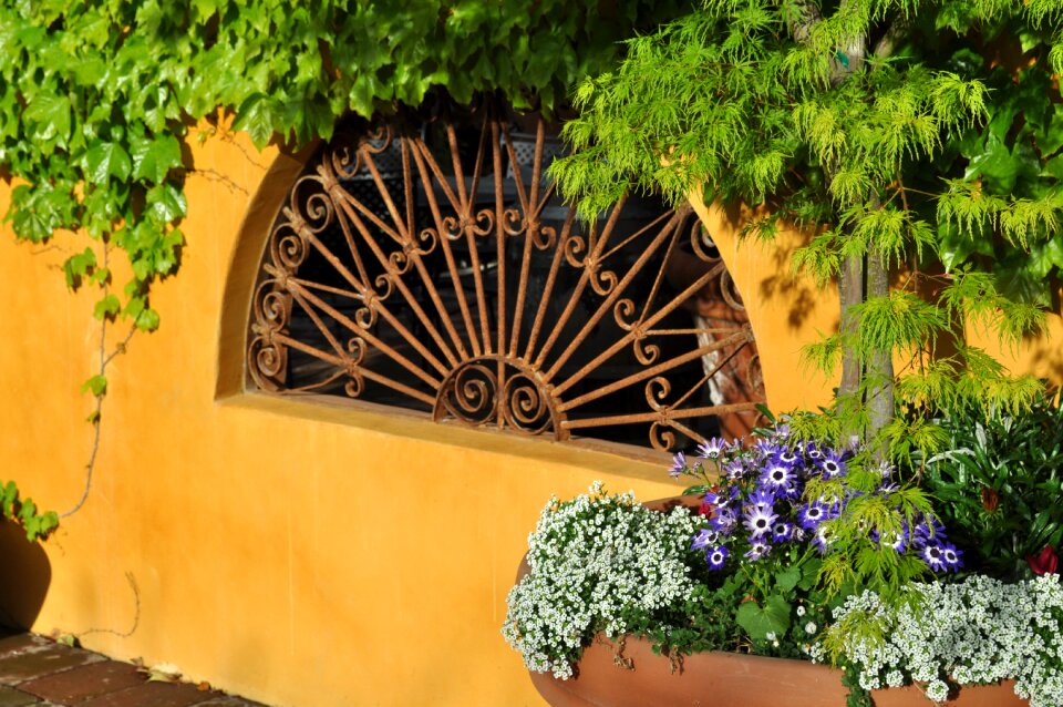 Courtyard patio winery photo