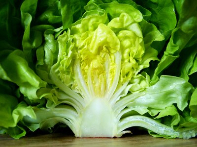 Nutrition raw food eat