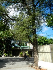 Bustos, Bulacan during Pandemic