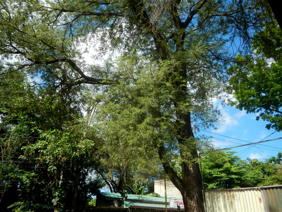 Bustos, Bulacan during Pandemic