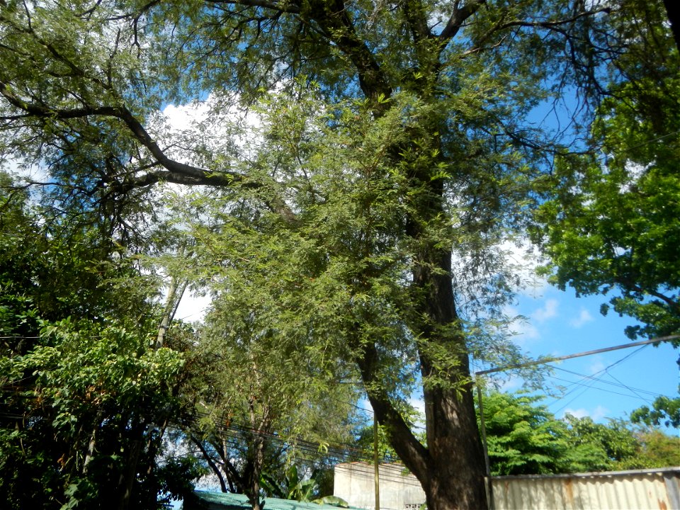 Bustos, Bulacan during Pandemic