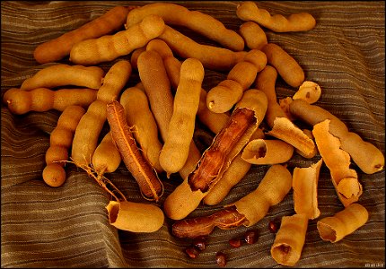 Tamarind fruits