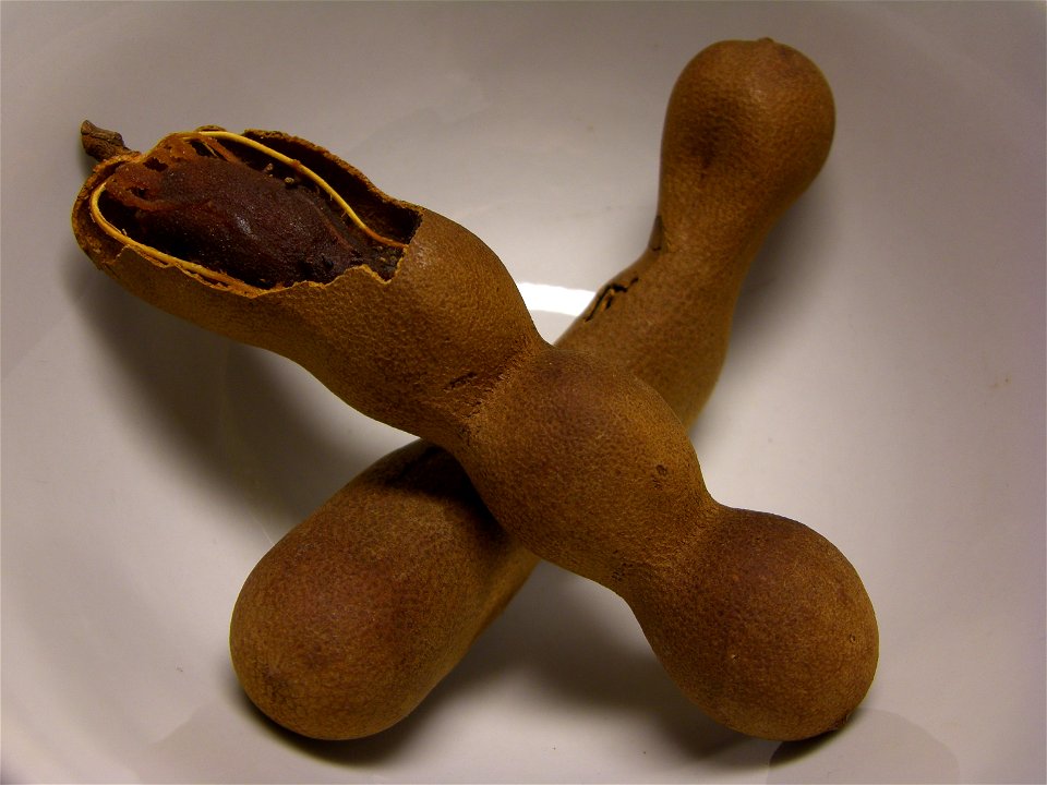 Tamarind fruktbaljor