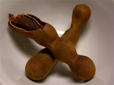 Tamarind fruktbaljor