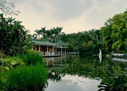 Landscape painting green Free photos