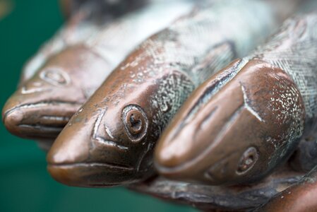 Fish mouth metal bronze