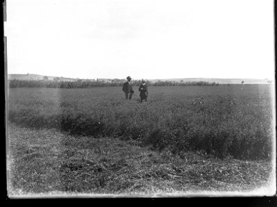 Men in a field photo