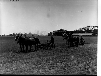 Mowers for Lucerne Cutting at Virginia photo