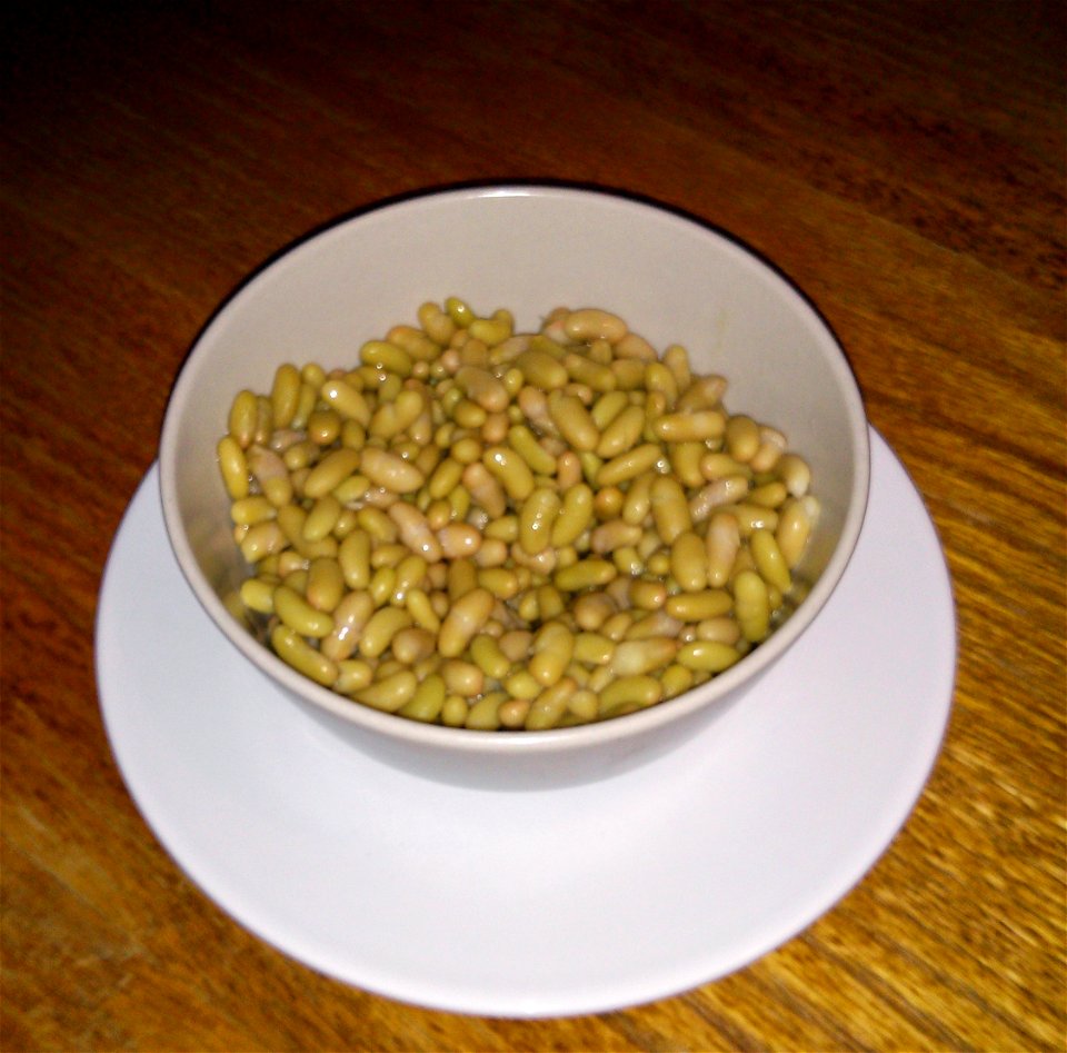 Canned flageolet beans