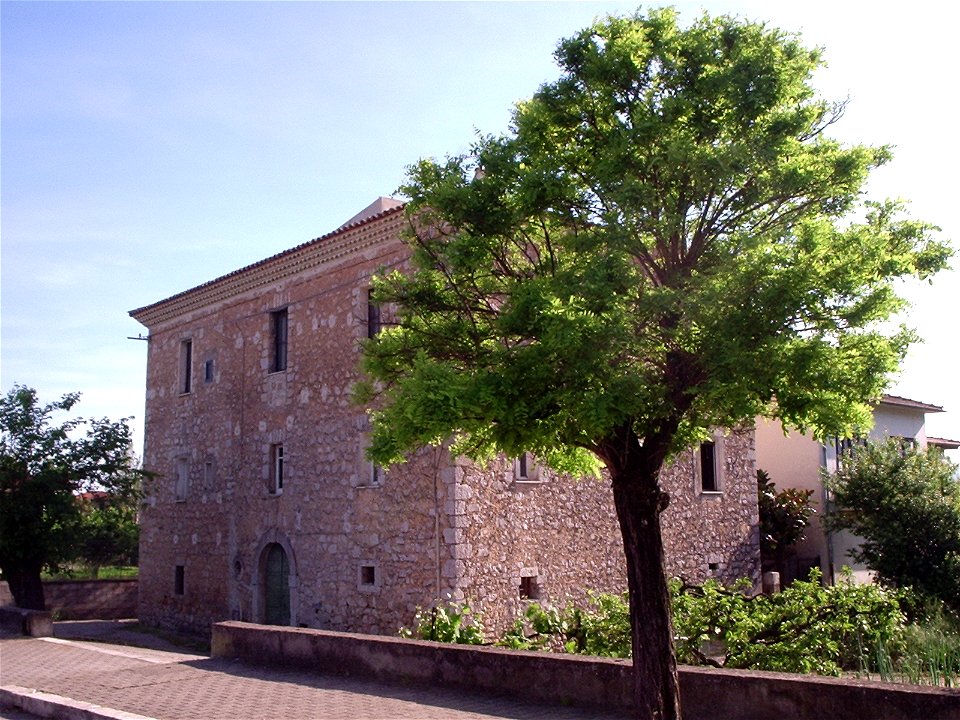 Robinia pseudoacacia a Monte San Biagio.