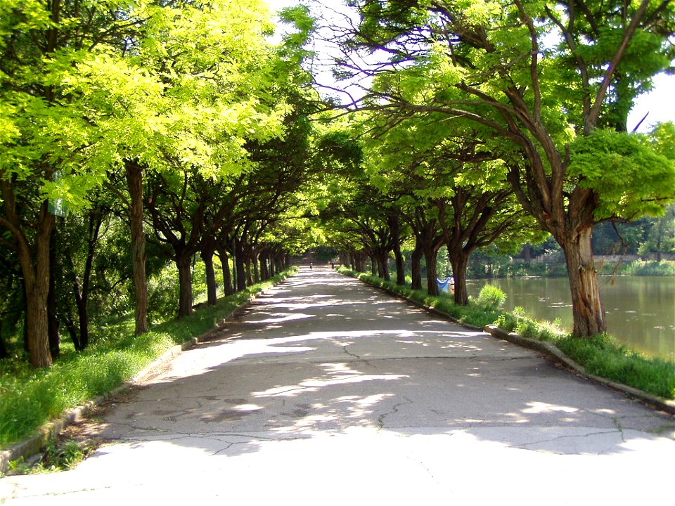Rose Valley, Chisinau, Moldova
