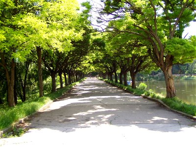 Rose Valley, Chisinau, Moldova