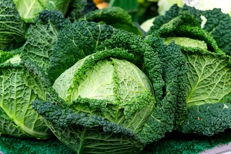 Savoy cabbage vitamins food