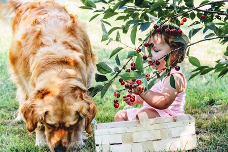 Child village fruit