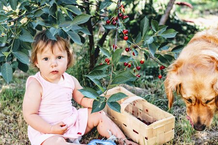 Child village fruit