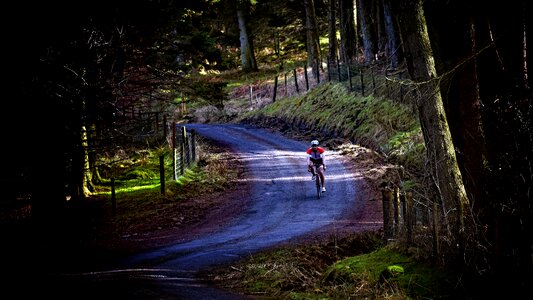 Nature bike cycling