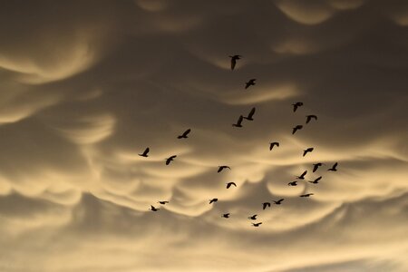 Clouds strange spectacular photo