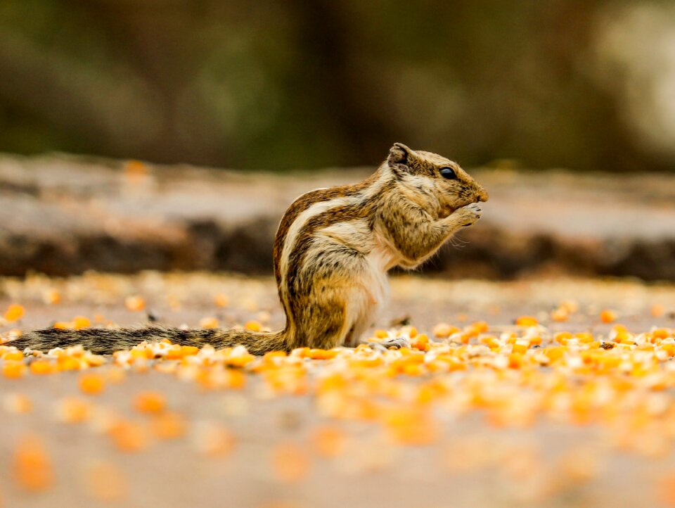 Cute eating posing