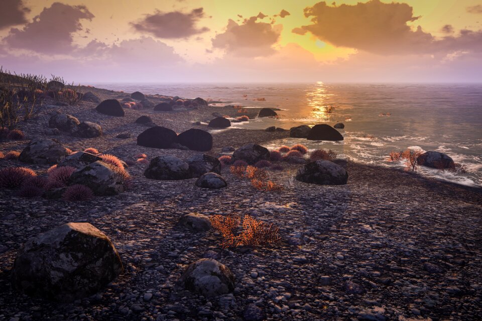 Tropical sunset coastline