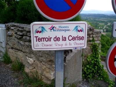 Plaque Terroir de la Cerise, Mont du Vaucluse photo