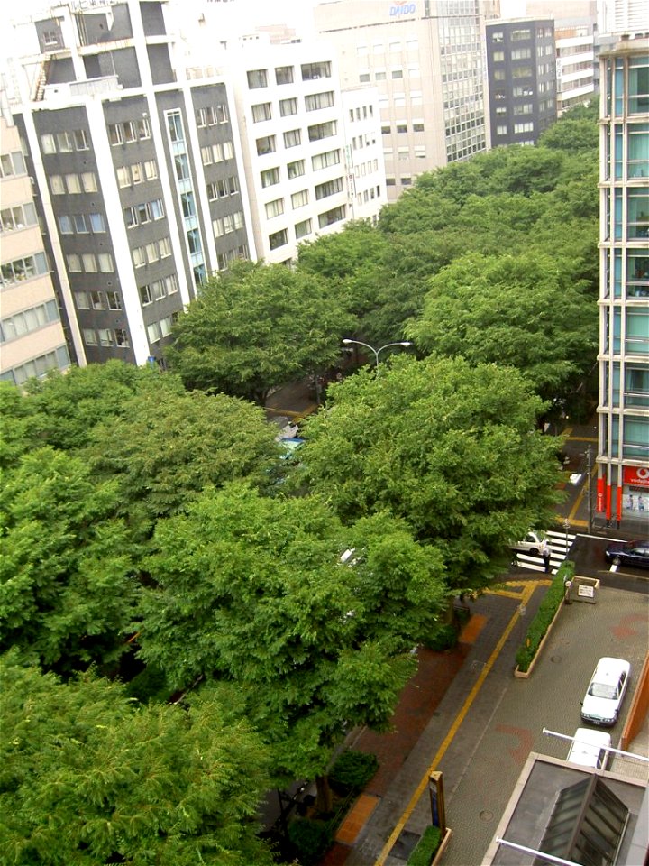 Aoba-dori Avenue with lush street trees of Keaki. This is one of the main streets in Sendai, Japan.